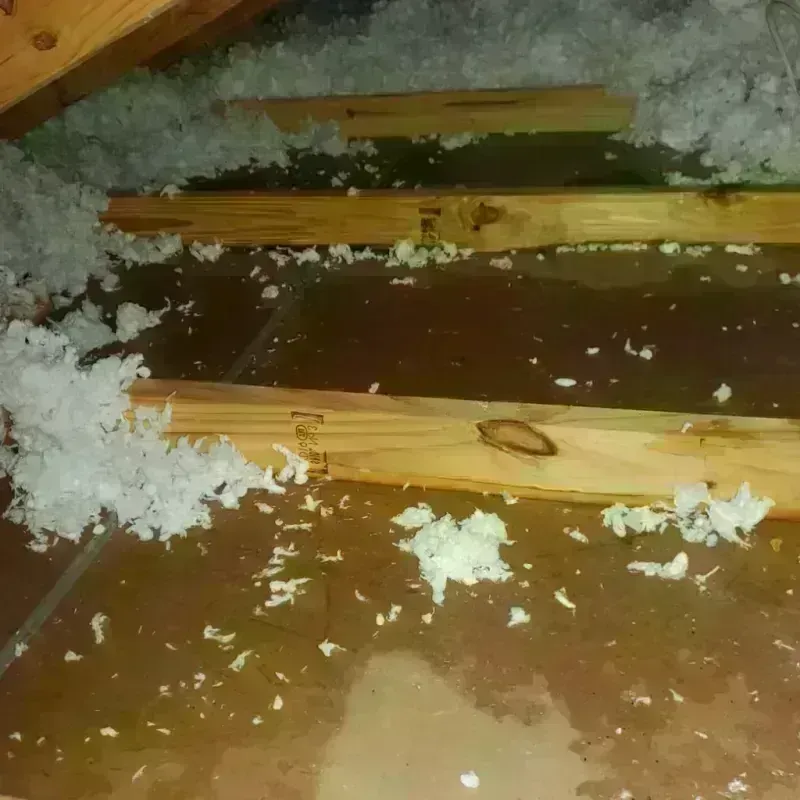 Attic Water Damage in Falmouth, KY